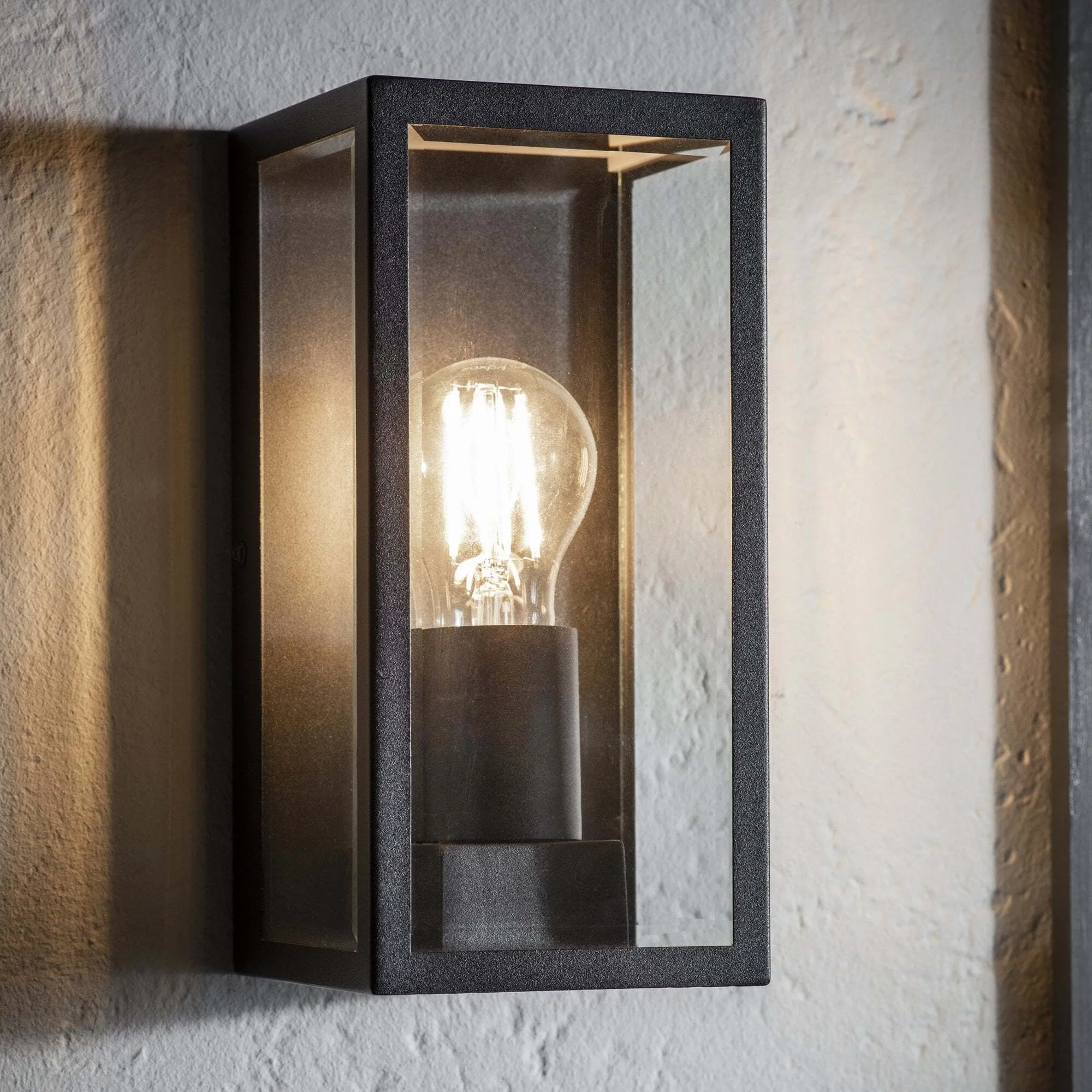 Endon 80600 Oxford 1 Light Outdoor Wall Light Black Clear